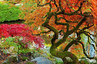 《真三国无双：起源》武器汇总 刀枪剑戟齐亮相