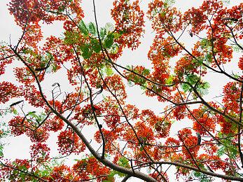 《不同的冬天》确定8月10日steam发售 双人益智冒险